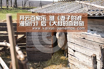 开云体育APP