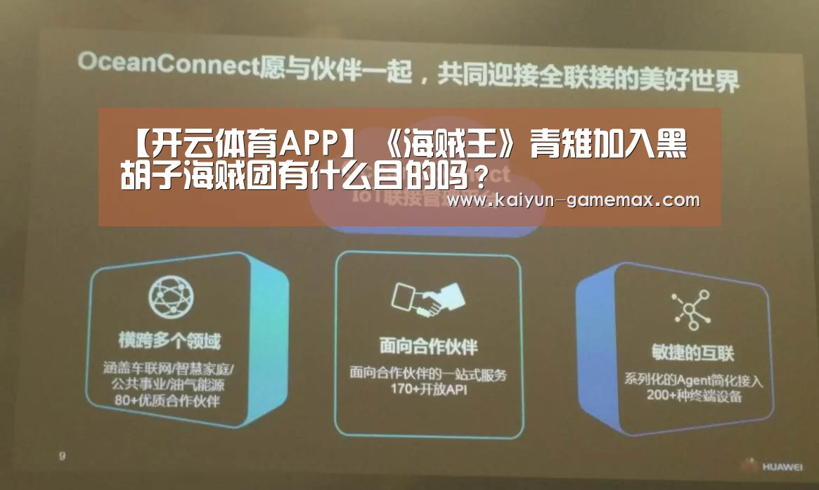 开云登录入口