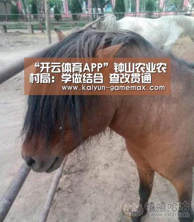 “开云体育APP”钟山农业农村局:学做结合 查改贯通 深入推进主题教育(图4) 开云体育APP