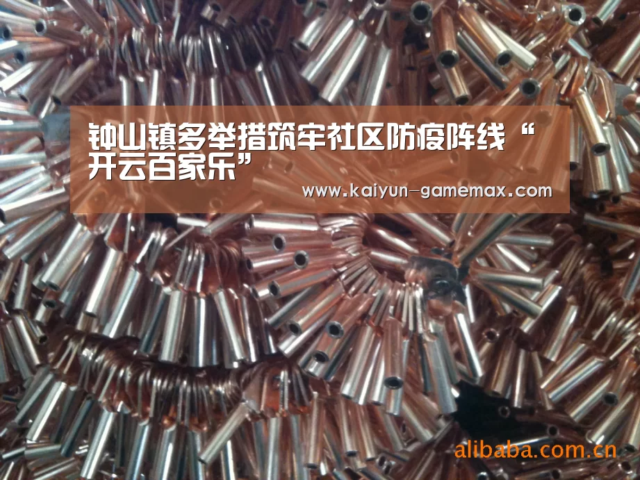 钟山镇多举措筑牢社区防疫阵线“开云百家乐”(图2) 开云登录入口