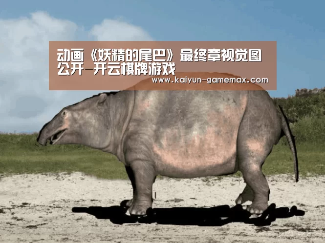 动画《妖精的尾巴》最终章视觉图公开-开云棋牌游戏(图1) 开云登录入口