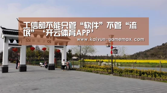 工信部不能只管“软件”不管“流氓”‘开云体育APP’(图3) 开云登录入口