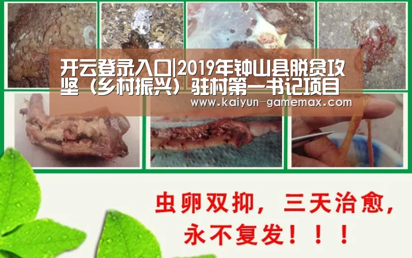 开云登录入口|2019年钟山县脱贫攻坚（乡村振兴）驻村第一书记项目公告