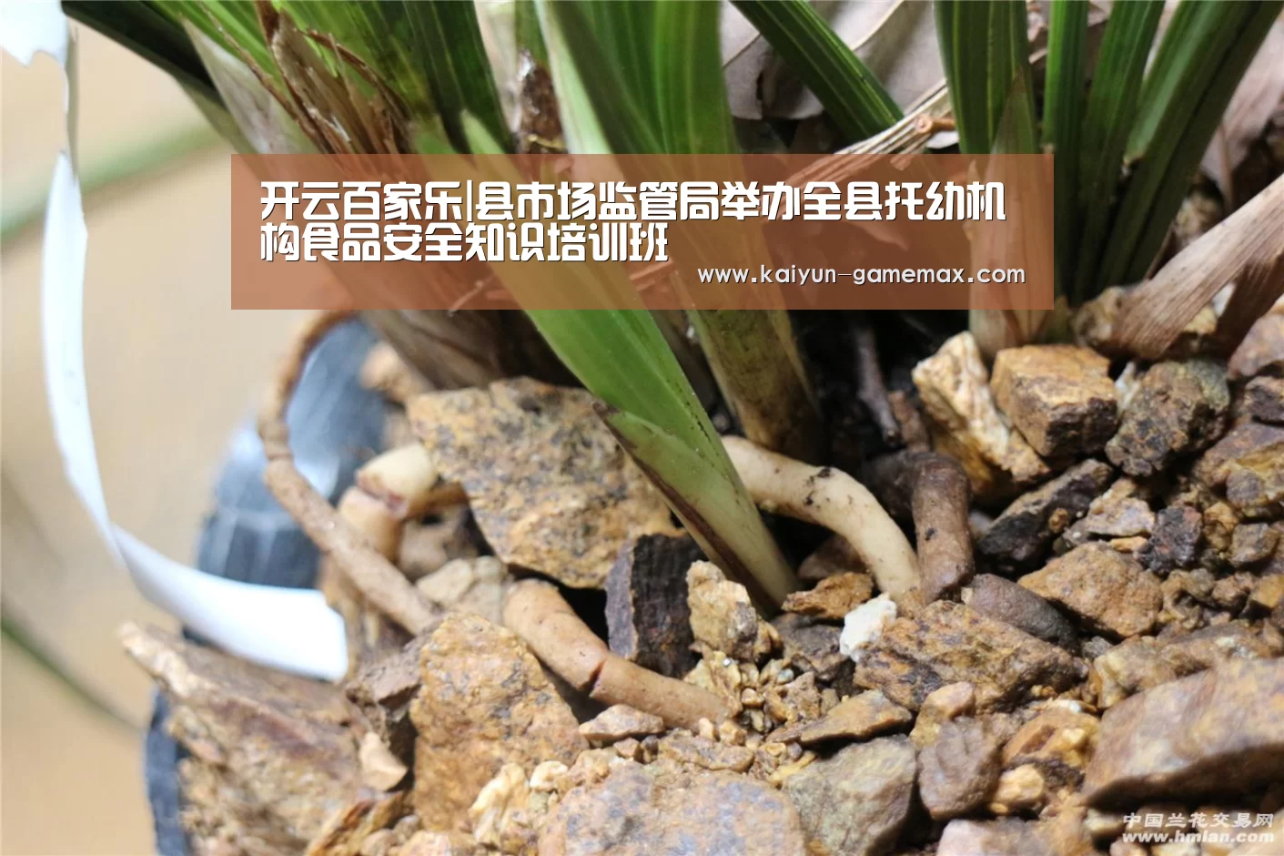 开云百家乐|县市场监管局举办全县托幼机构食品安全知识培训班(图2) 开云百家乐